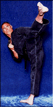 Mein Idol: Bill Wallace